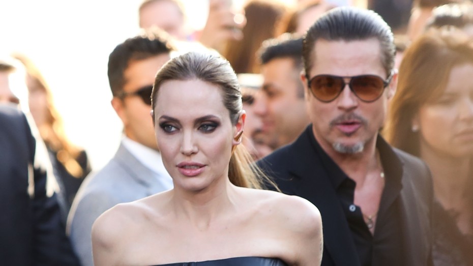 Брэд Питт уличил Анджелину Джоли во лжи по делу об их общей французской винодельне