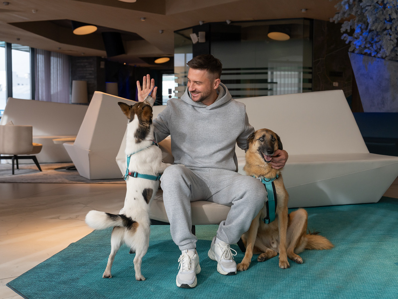 Сергей Лазарев поддержал фестиваль WOOF для животных из приютов |  OK-magazine.ru